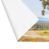 Placemat South African Scene - Farm wind pump