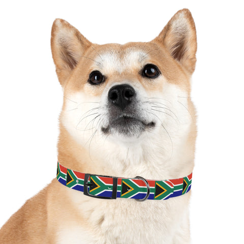 South African Flag Dog Collar