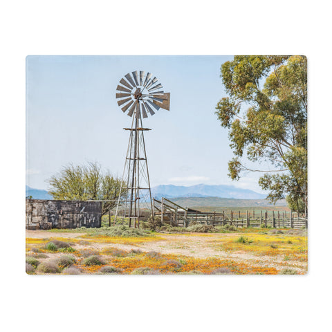 Placemat South African Scene - Farm wind pump