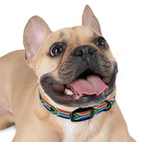 South African Flag Dog Collar