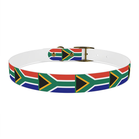 South African Flag Dog Collar