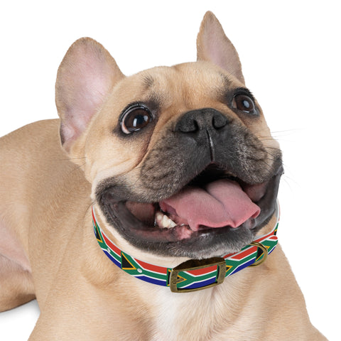 South African Flag Dog Collar