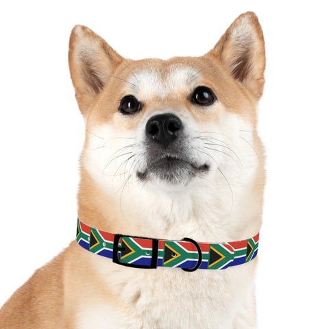 South African Flag Dog Collar