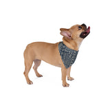 South African Ethnic Print Pet Bandana