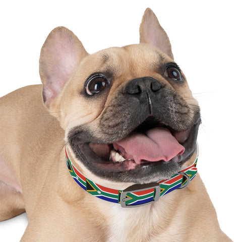 South African Flag Dog Collar