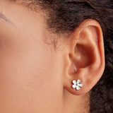 Darling Daisies Stud Earrings  925 Sterling Silver