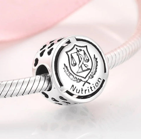 Nutirtion Charm Beads Silver Medical Charms 925 Silver Charm European style Bracelet Necklace Charm occupational signs charm Job